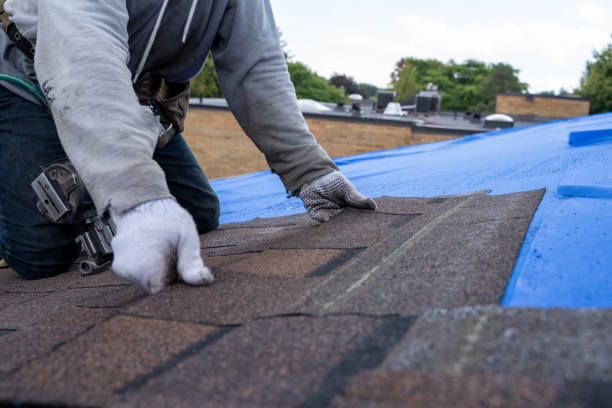 Professional Roofing Contractor in Dixon, CA